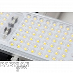 SANlight EVO Led 1.5 for crop production 3